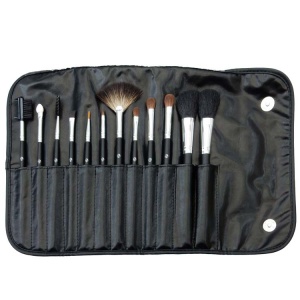 12 Piece Professional Brush Set