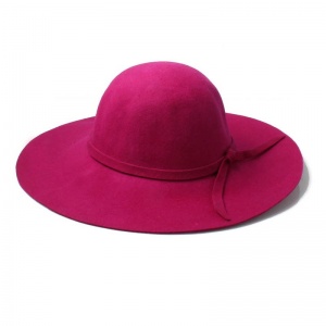 Raspberry Floppy Fedora